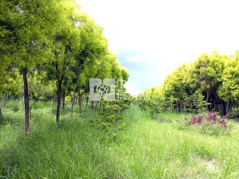近工研院南分院都內農地(十一)房屋室內格局與周邊環境