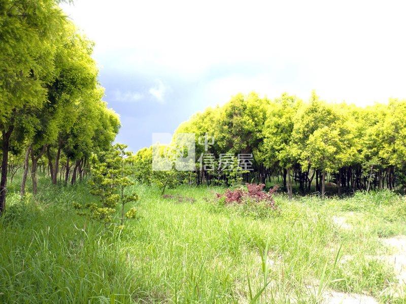 近工研院南分院都內農地(十一)房屋室內格局與周邊環境