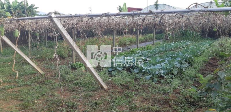 新社花海.合法建物權狀.農舍.農地房屋室內格局與周邊環境