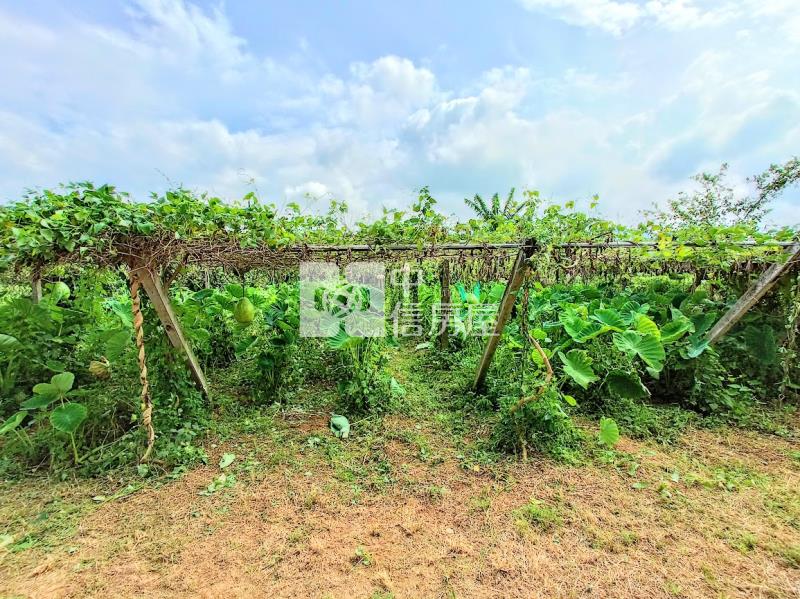 新社花海.合法建物權狀.農舍.農地房屋室內格局與周邊環境