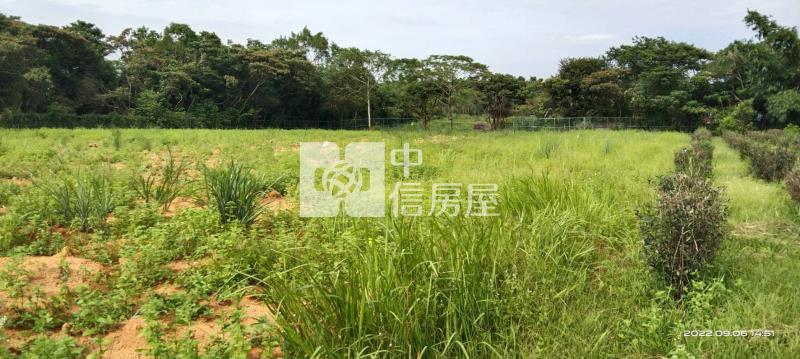 龍潭美農地(一般農業區)房屋室內格局與周邊環境