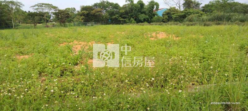 龍潭美農地(一般農業區)房屋室內格局與周邊環境