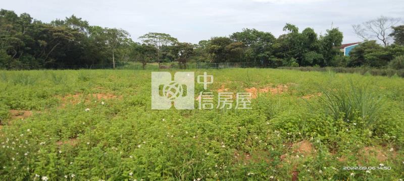 龍潭美農地(一般農業區)房屋室內格局與周邊環境
