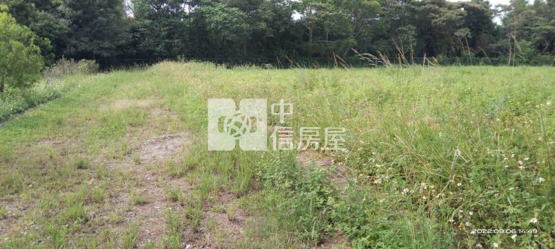 龍潭美農地(一般農業區)房屋室內格局與周邊環境