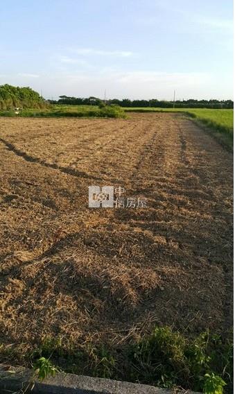 新屋台66漂亮農加建房屋室內格局與周邊環境