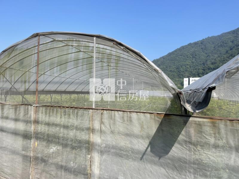 九芎林美農地房屋室內格局與周邊環境