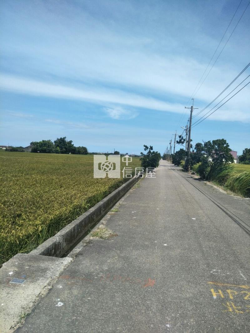 新屋近66可分割出售田+建房屋室內格局與周邊環境