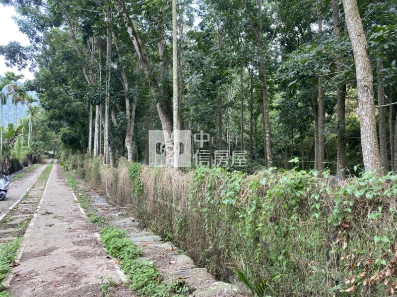 地藏桃木園房屋室內格局與周邊環境