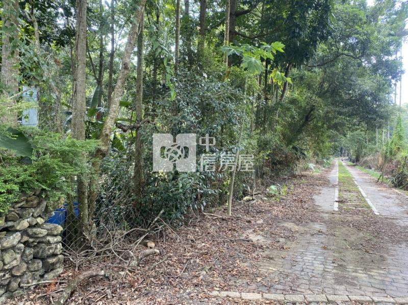 地藏桃木園房屋室內格局與周邊環境
