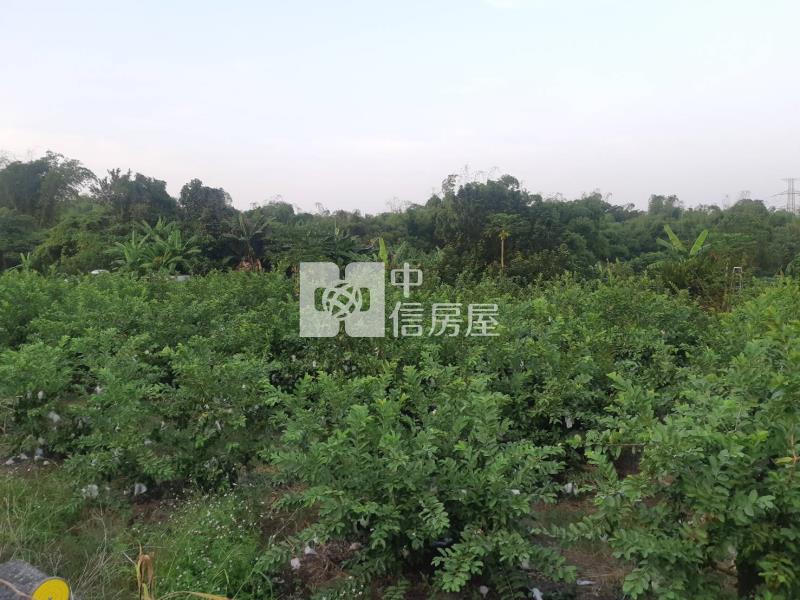 有芭樂有香蕉吃到飽農地房屋室內格局與周邊環境
