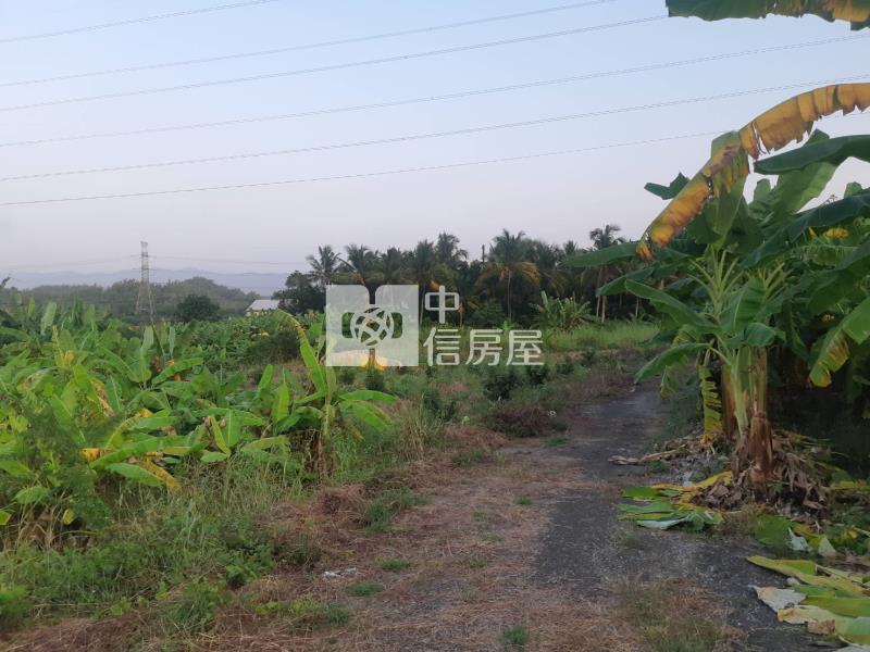 有芭樂有香蕉吃到飽農地房屋室內格局與周邊環境
