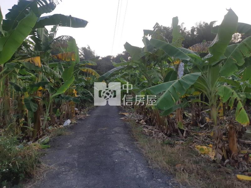 有芭樂有香蕉吃到飽農地房屋室內格局與周邊環境