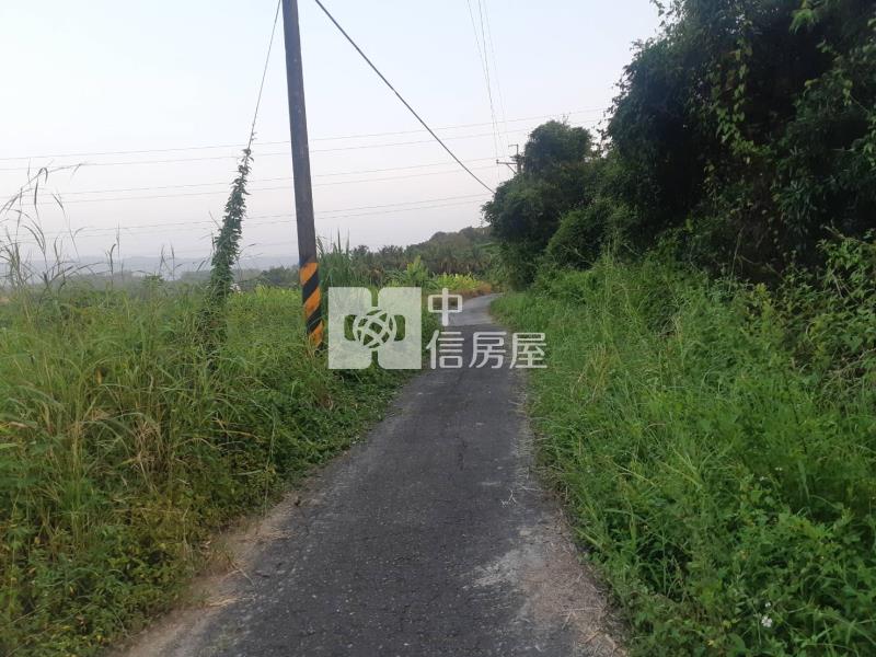 有芭樂有香蕉吃到飽農地房屋室內格局與周邊環境