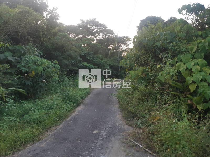 有芭樂有香蕉吃到飽農地房屋室內格局與周邊環境