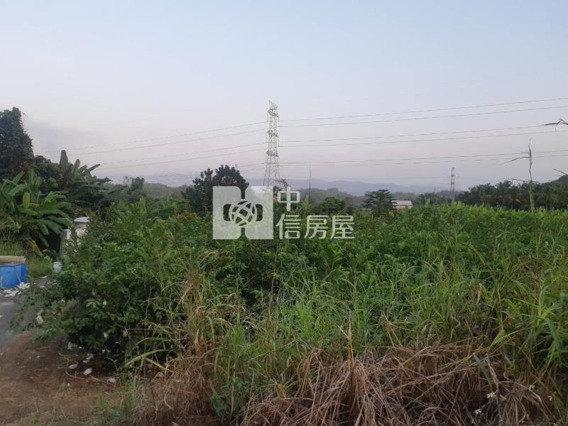 有芭樂有香蕉吃到飽農地房屋室內格局與周邊環境