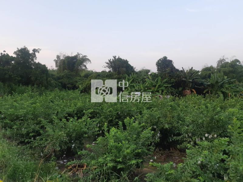 有芭樂有香蕉吃到飽農地房屋室內格局與周邊環境