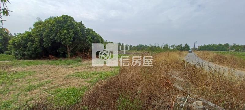 白河河東段農地房屋室內格局與周邊環境