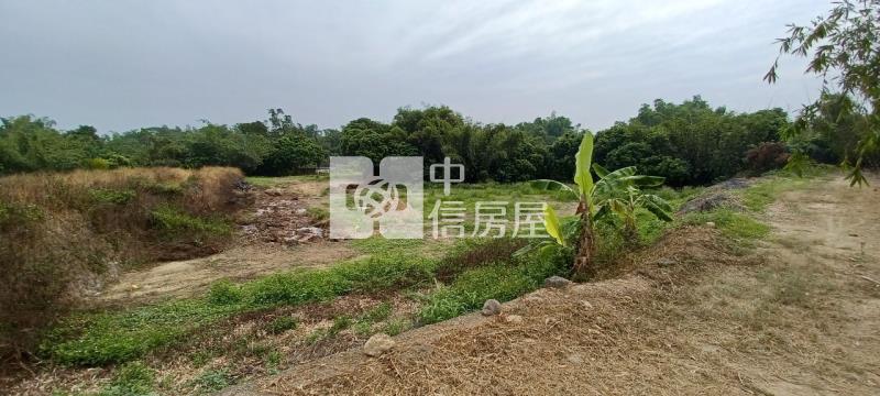 白河河東段農地房屋室內格局與周邊環境