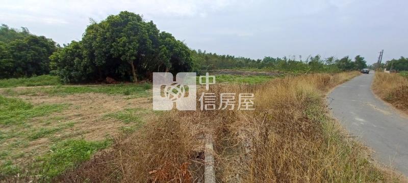 白河河東段農地房屋室內格局與周邊環境