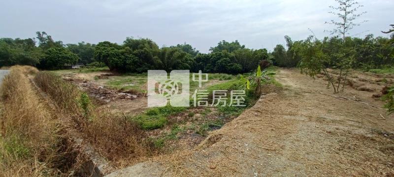 白河河東段農地房屋室內格局與周邊環境