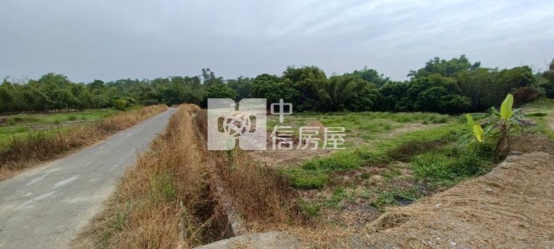 白河河東段農地房屋室內格局與周邊環境