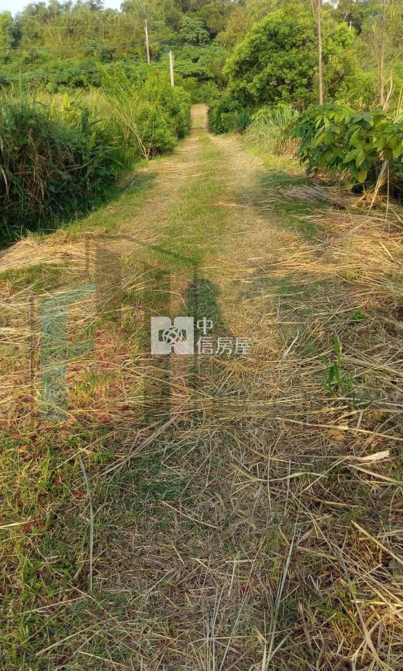 【豐禾】台東長濱無敵海景湧泉農地房屋室內格局與周邊環境