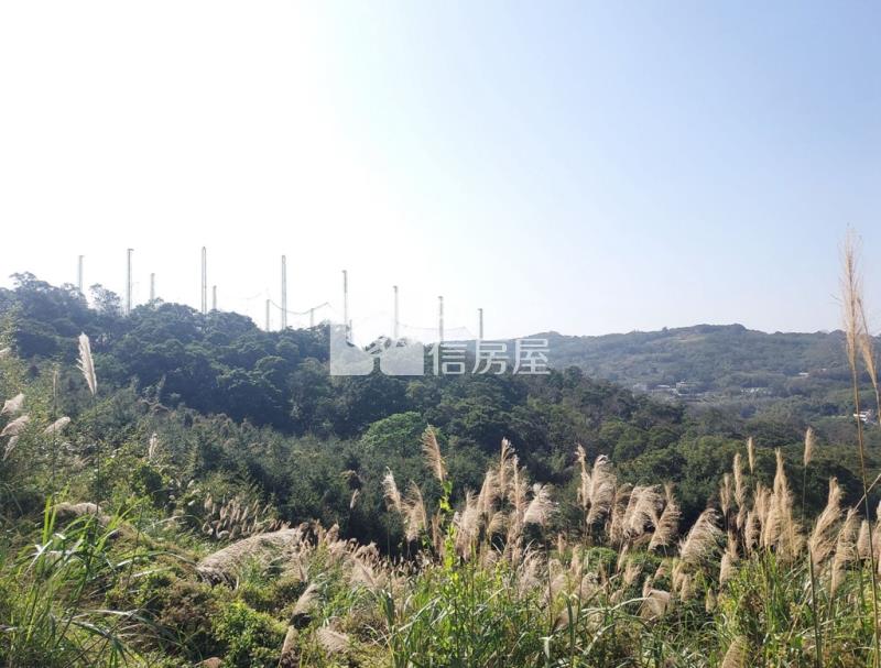苗里景觀有水有電資材室農業寶地房屋室內格局與周邊環境