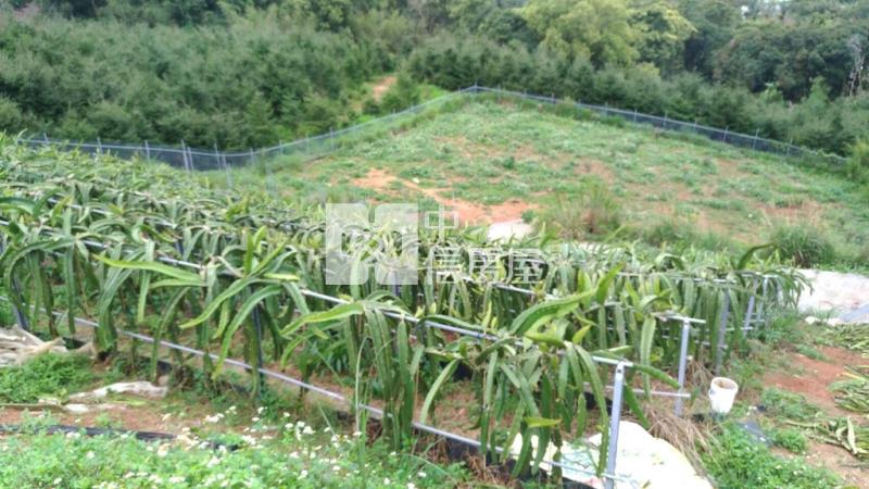 苗里景觀有水有電資材室農業寶地房屋室內格局與周邊環境
