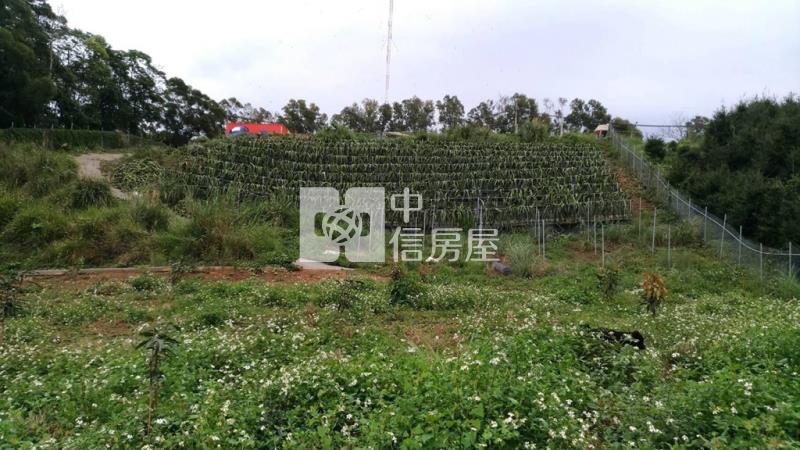 苗里景觀有水有電資材室農業寶地房屋室內格局與周邊環境