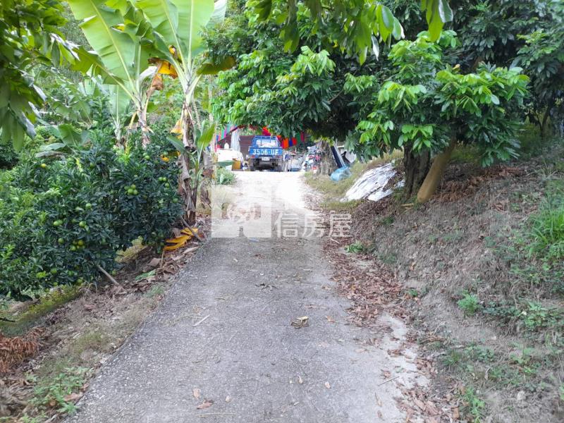 霧峰.峰谷.果園房屋室內格局與周邊環境