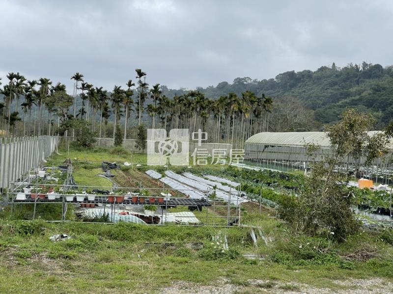 9A01 大溪埔尾段土地房屋室內格局與周邊環境