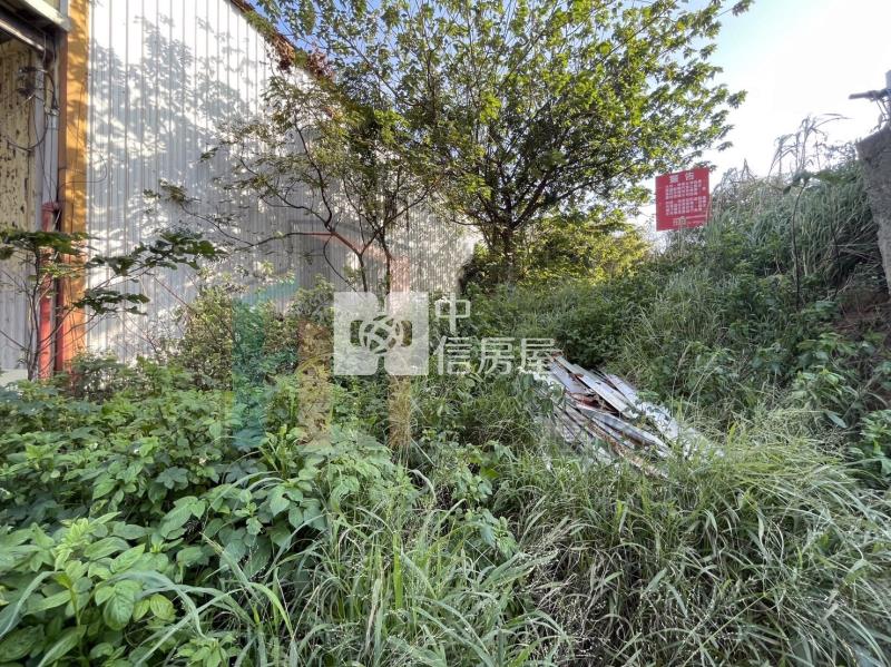 【豐禾】大園大觀路南港段農+建地房屋室內格局與周邊環境