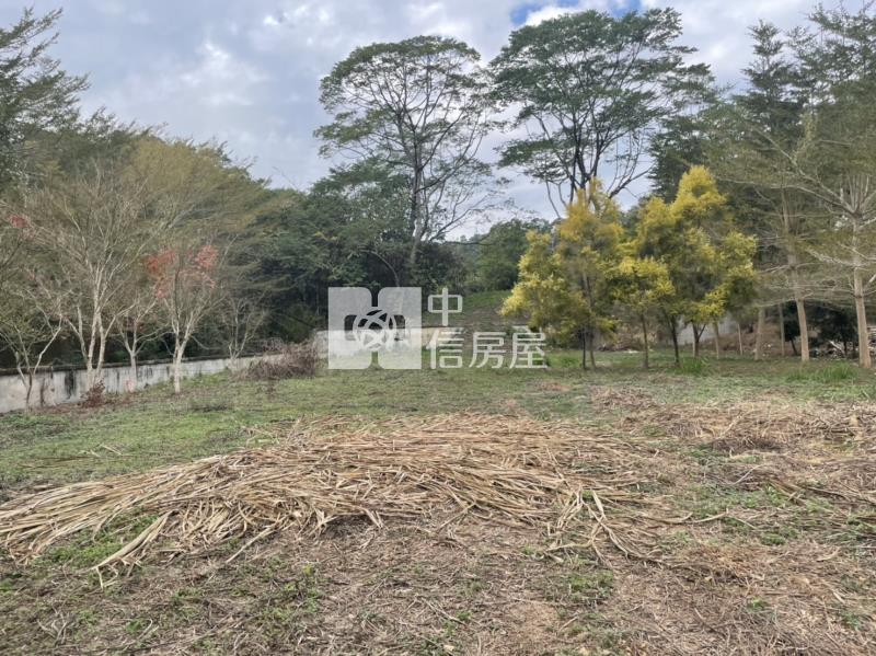 桃米美農地房屋室內格局與周邊環境