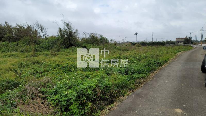 楊梅台31農+甲種建地房屋室內格局與周邊環境