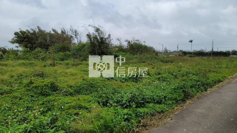 楊梅台31農+甲種建地房屋室內格局與周邊環境