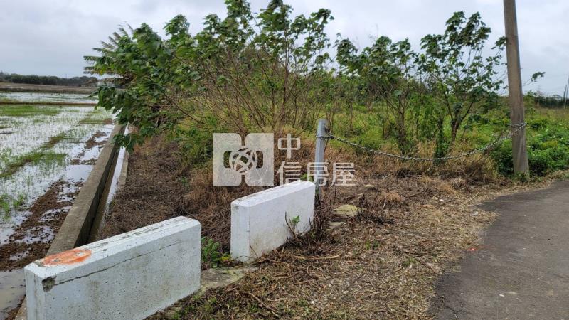 楊梅台31農+甲種建地房屋室內格局與周邊環境