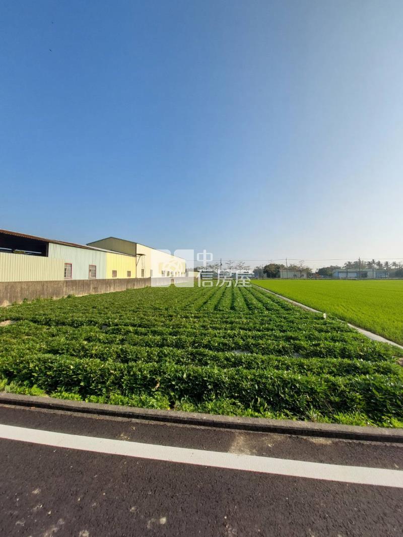 新市潭頂庄邊雙面臨路有電農地房屋室內格局與周邊環境