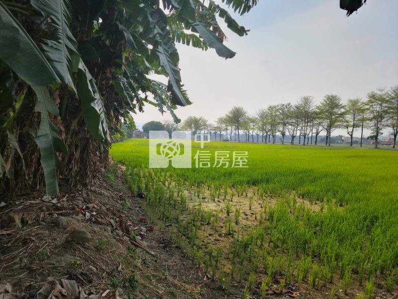 美濃光明路農地房屋室內格局與周邊環境