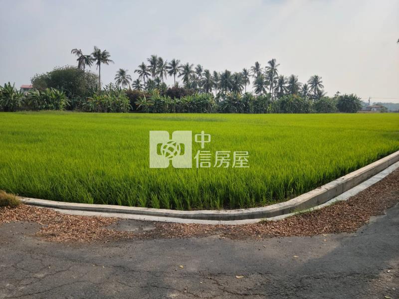 美濃光明路農地房屋室內格局與周邊環境