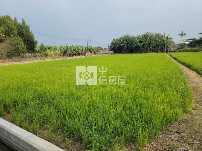 美濃光明路農地房屋室內格局與周邊環境