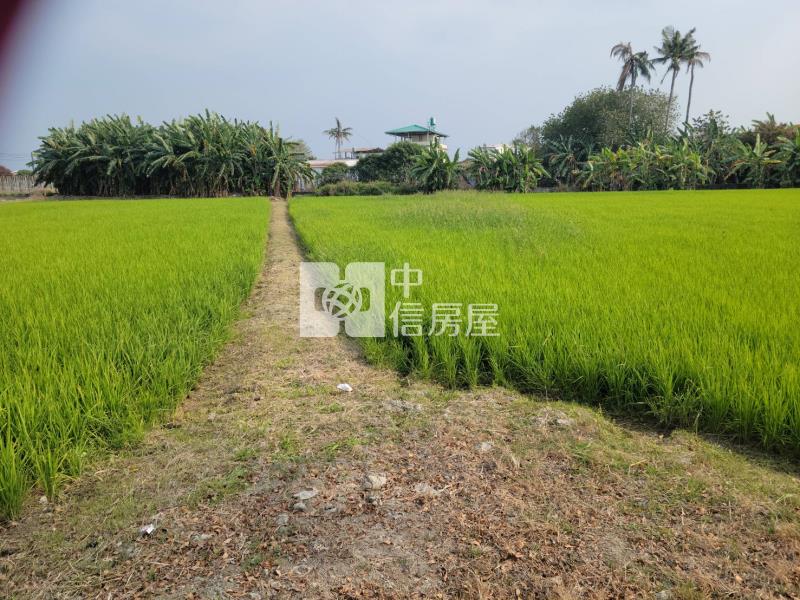 美濃光明路農地房屋室內格局與周邊環境