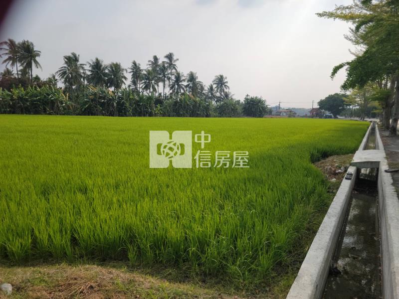 美濃光明路農地房屋室內格局與周邊環境