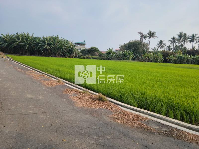 美濃光明路農地房屋室內格局與周邊環境