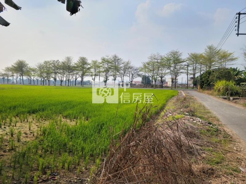 美濃光明路農地房屋室內格局與周邊環境