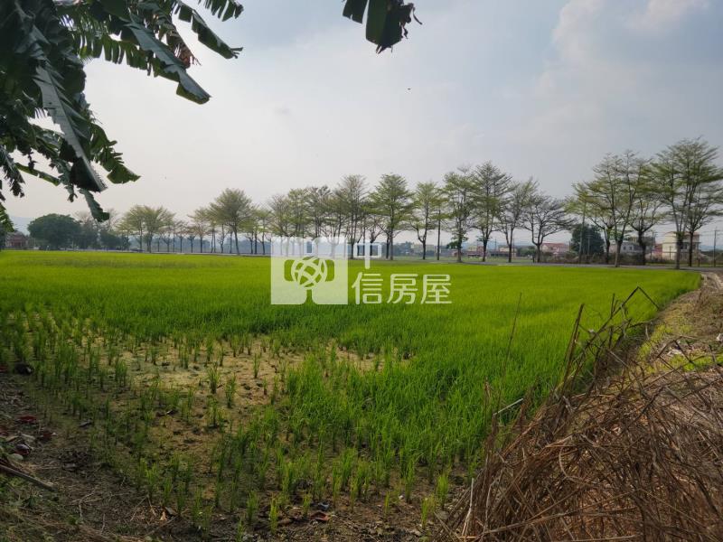 美濃光明路農地房屋室內格局與周邊環境