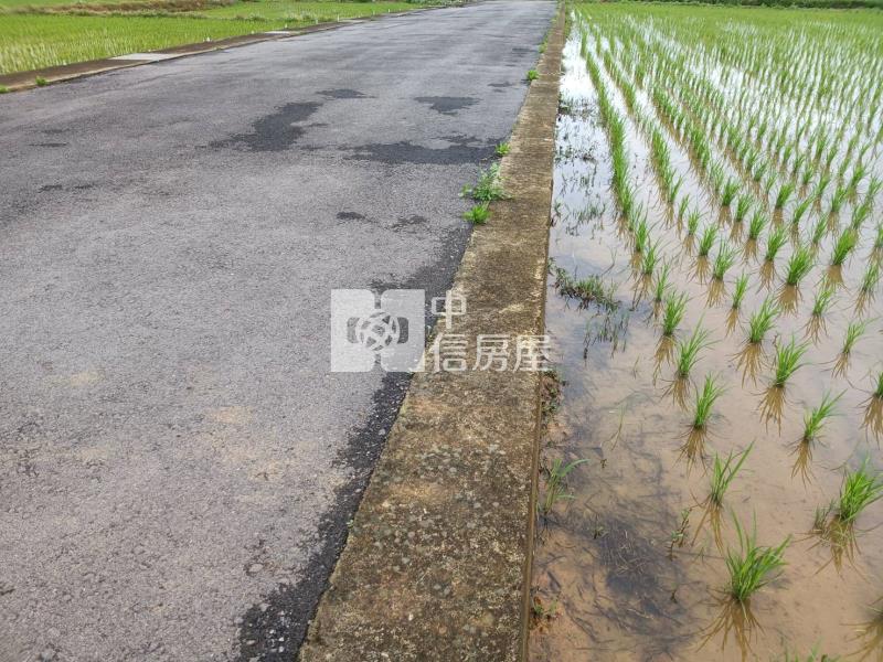【安家】山東國小月桃路近青埔農地雙面臨路房屋室內格局與周邊環境