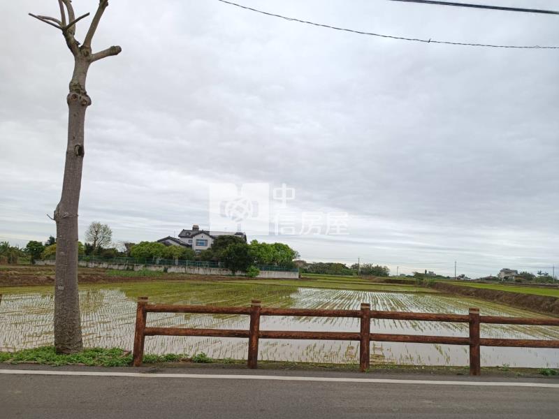 【安家】山東國小月桃路近青埔農地雙面臨路房屋室內格局與周邊環境