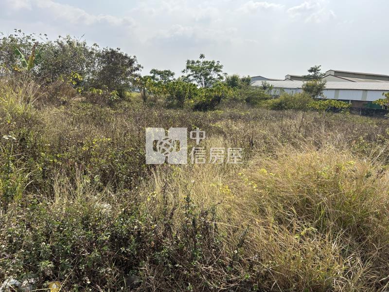 歸仁近高鐵臨市道前瞻農地房屋室內格局與周邊環境