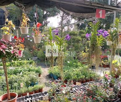 歸仁近高鐵臨市道前瞻農地房屋室內格局與周邊環境