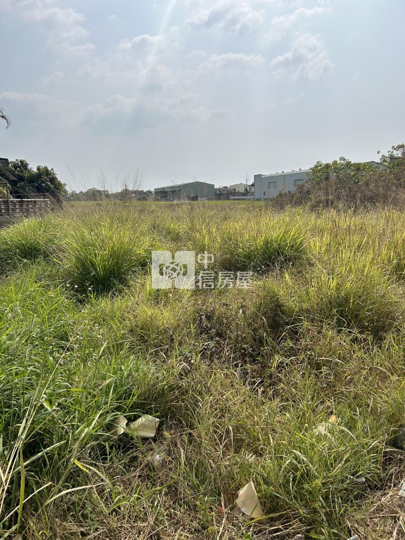 歸仁近高鐵臨市道前瞻農地房屋室內格局與周邊環境